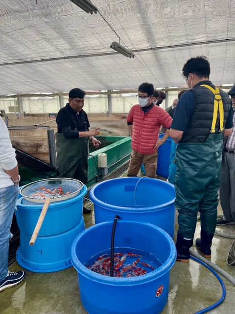 Matsue Nishikigoi Center Ltd.