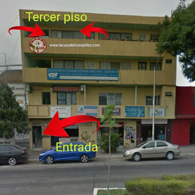 The House of Reptiles