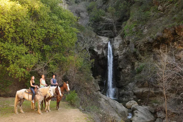 Circle Bar B Horseback Riding Stables