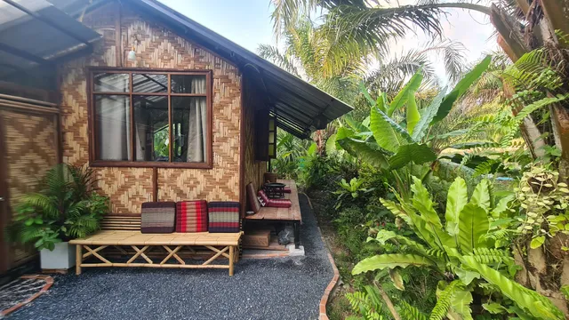 Tee Bungalow in the jungle