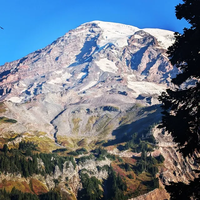 Nisqually Vista trail
