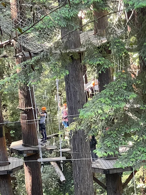 Redwood Canopy Tour