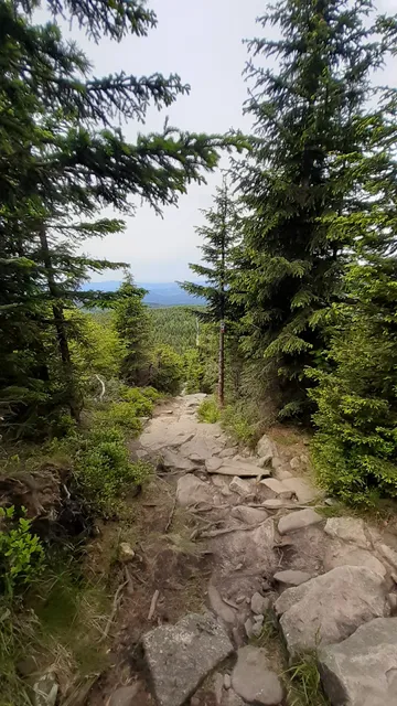 photo-1