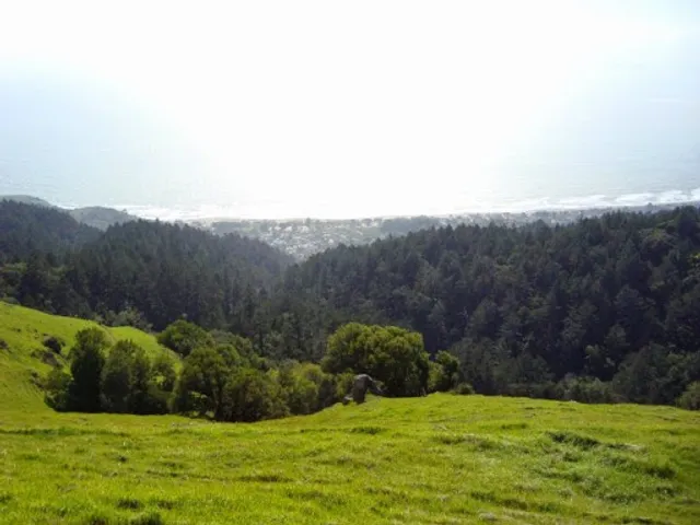 Mount Tamalpais, West Peak