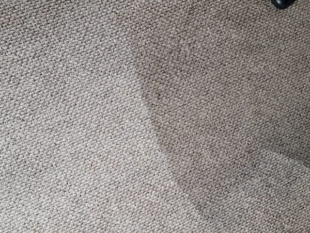 Panda Carpet & Upholstery Cleaning