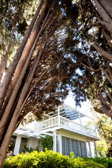 Krishnamurti Retreat