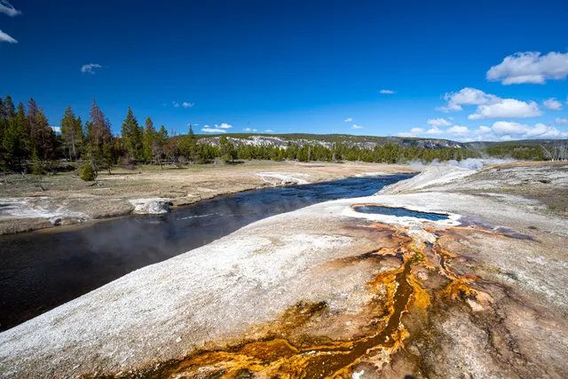 South Scalloped Spring