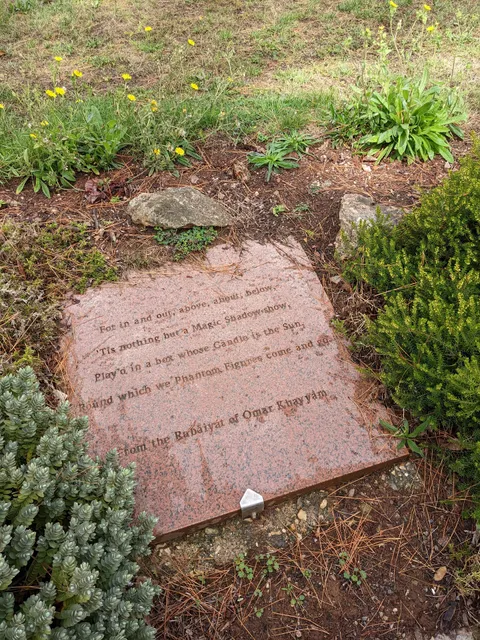 photo-1