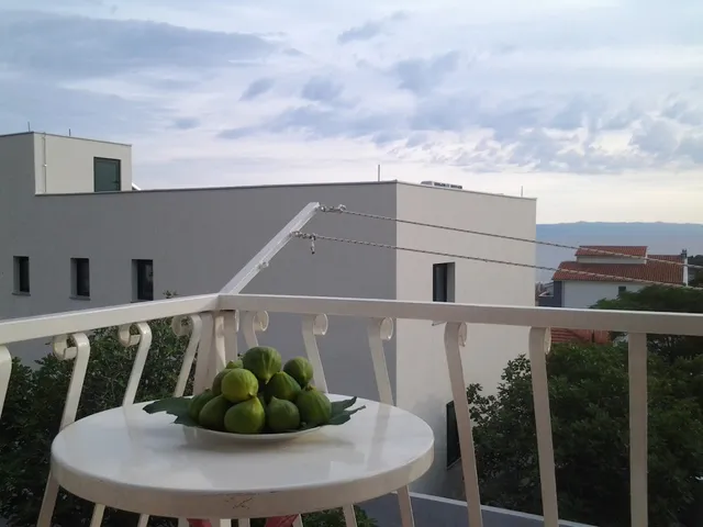 Bougainvillea Makarska