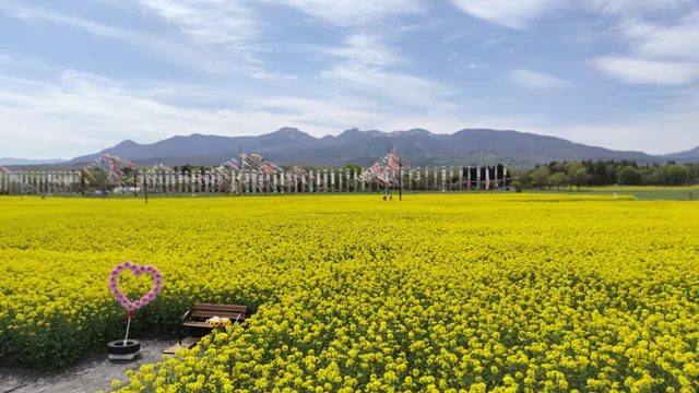 那須ハートフルファーム