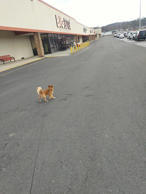 South Gate Shopping Center