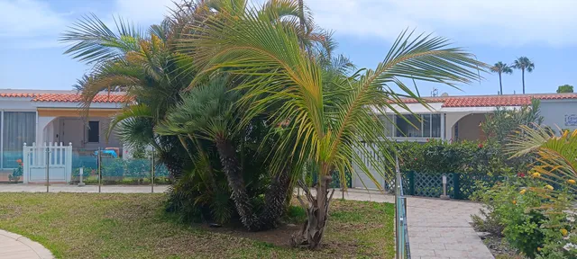 Apartamentos Residence La