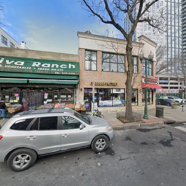 Cellular Factory Inc