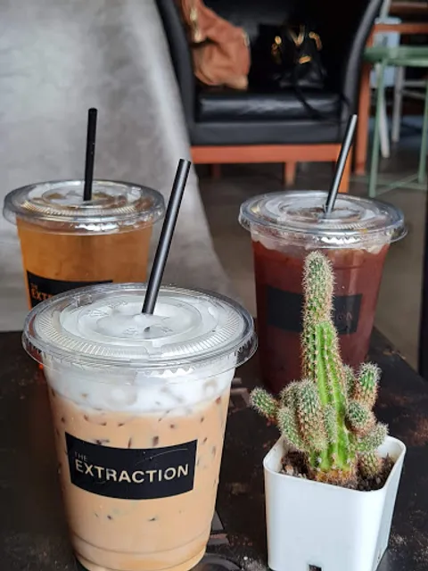 The Extraction Saraphi