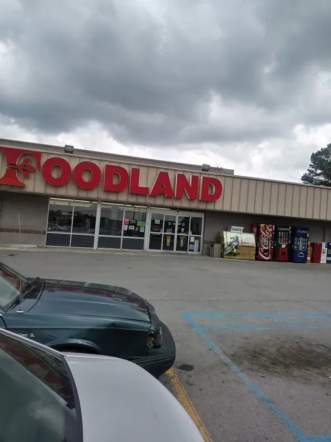 Bruce's Foodland Ider