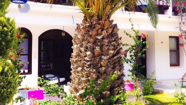 Kiraz Cicegi Butik Otel Akyaka