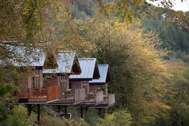 Forest Holidays Deerpark