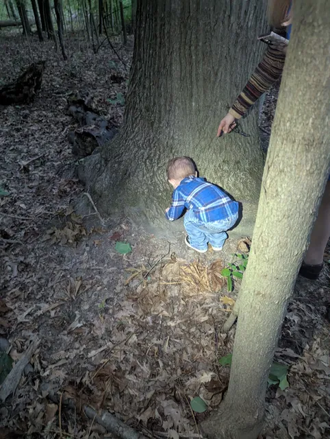 Hidden Valley Park North Trailhead