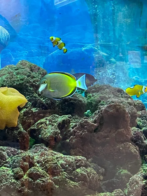 Center Stage At High Point