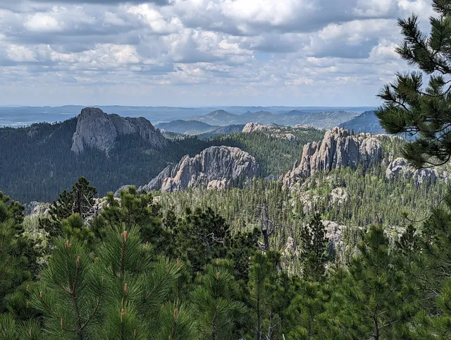 Black Elk Peak Trail