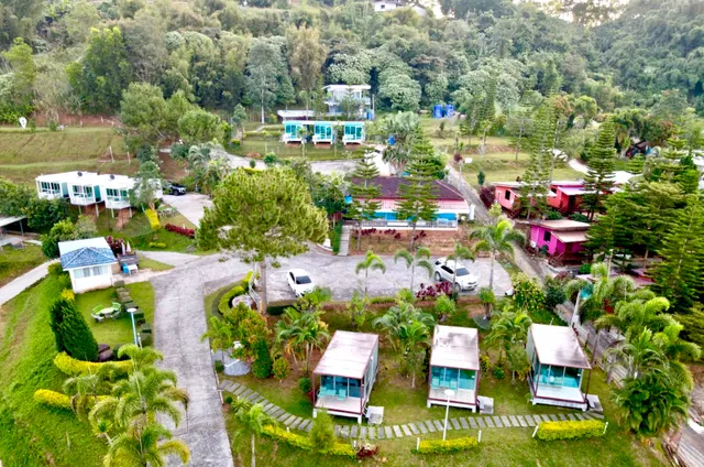 นอนชมหมอก รีสอร์ท