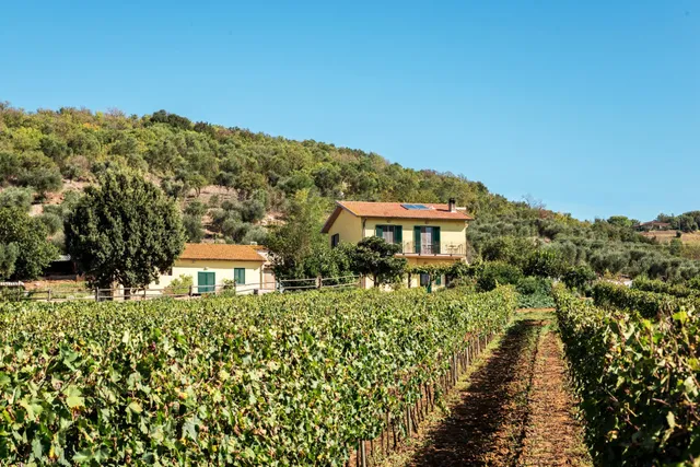 Poggiolivi Agriturismo Bio in Maremma