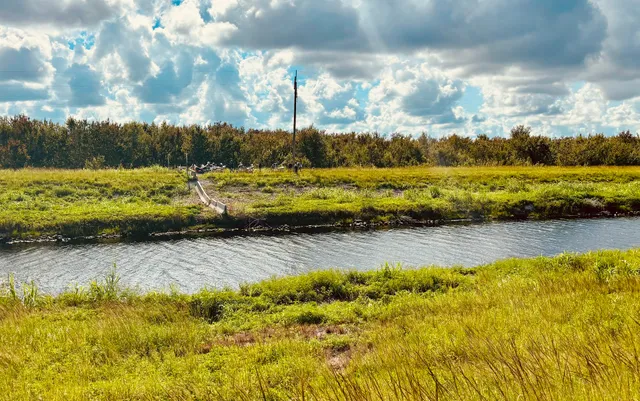 Rotenberger Wildlife Management Area