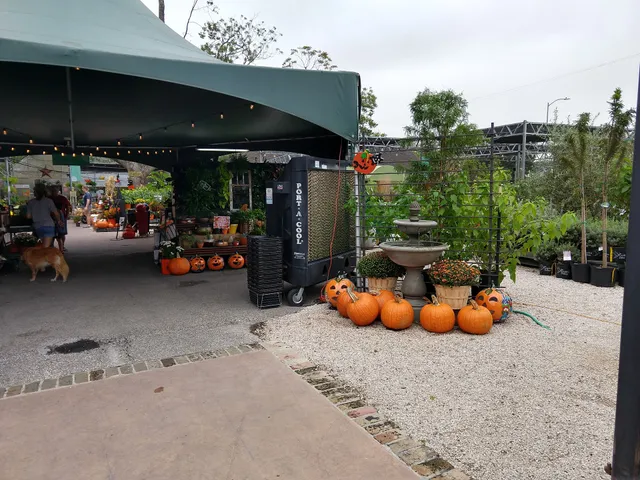Buchanan's Native Plants