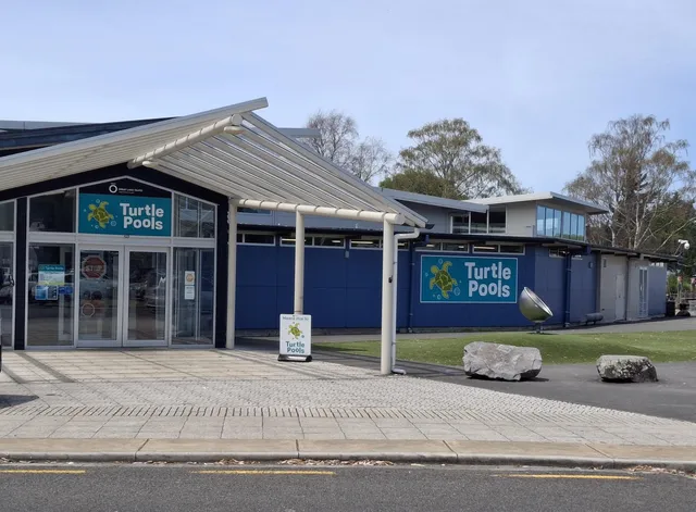 Turangi Turtle Swimming Pool