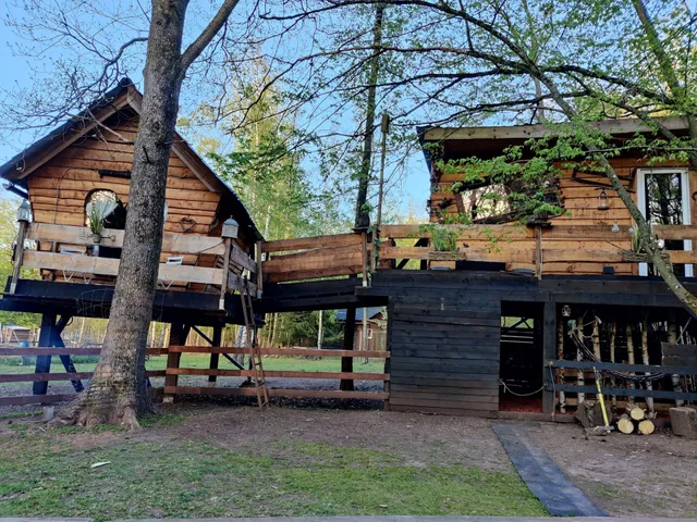 Nid d' Amour perché en forêt intime et luxueux