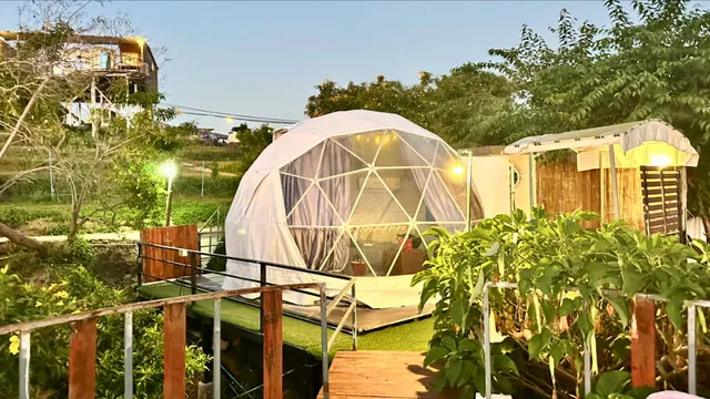 ไร่สายหมอกหน้าม่อนแจ่ม