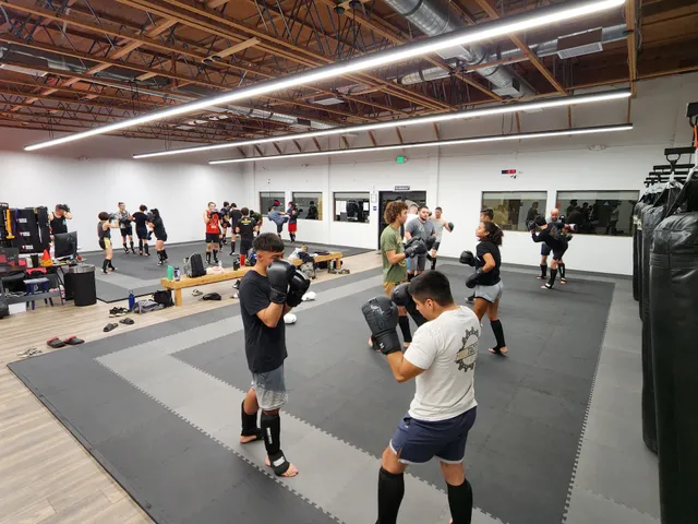 Vital Force Muay Thai & MMA