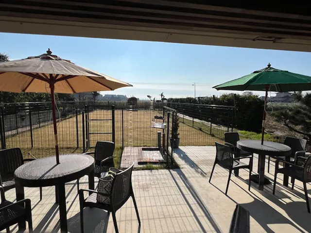 ドッグコミュニティーベース キャリーヌ