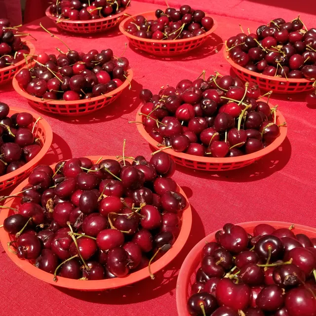 San Leandro Cherry Festival
