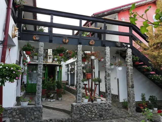 Pensiunea Casa Montana