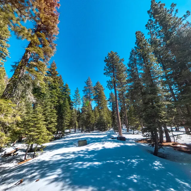 Sugar Pine Point State Park