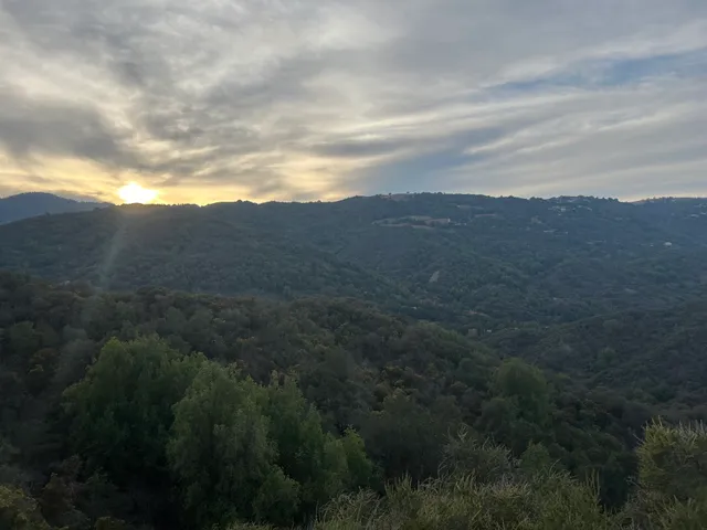 Fern Trail Vista Point