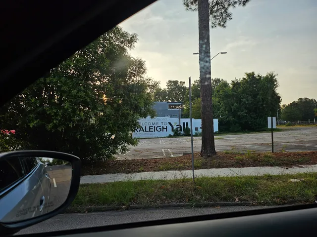 Welcome to Raleigh Mural