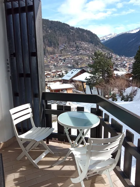 Apartment Le Pleney - Snow and Trek