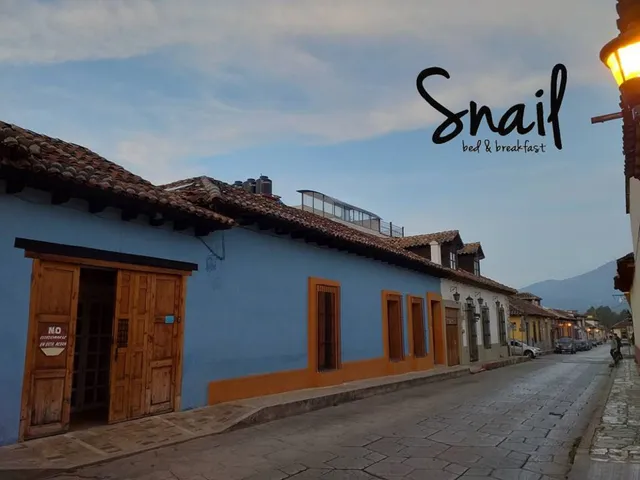 Snail Bed and Breakfast