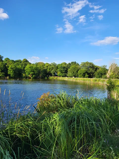 Highgate Men's Bathing Pond