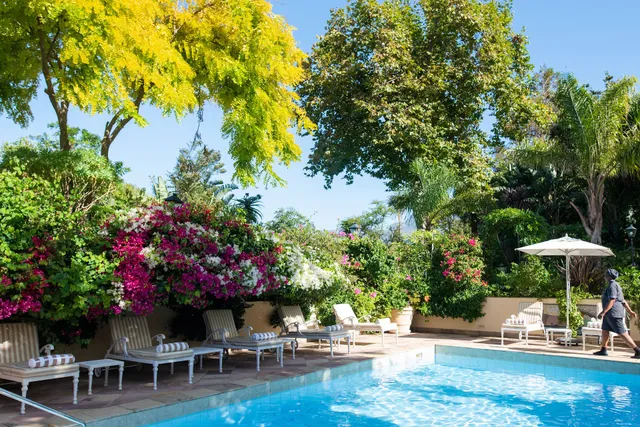 Last Word Constantia