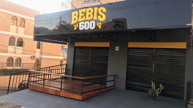 Bebis 600