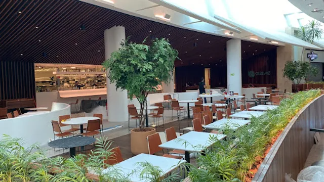 Gurumê Park Shopping Brasília: Restaurante Japonês Contemporâneo