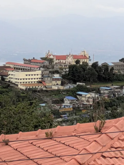 Willostays Mossy Meadows