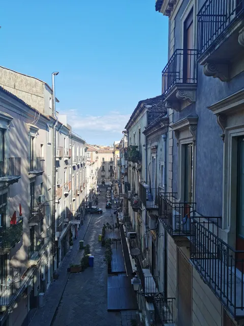 photo-1