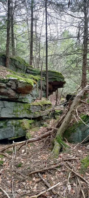 State Game Lands Number 57