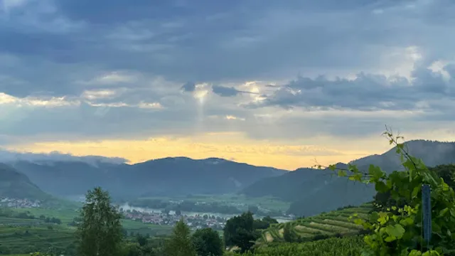 Weingut/Heuriger Eigl