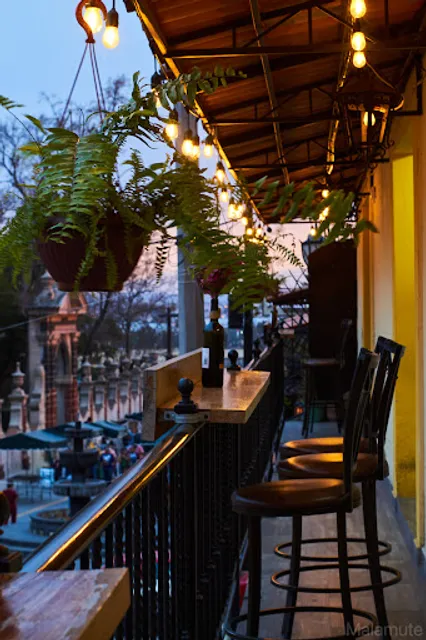 Malamute Coffee House