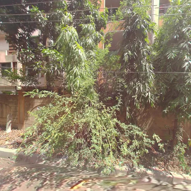 Hotel Parijat only veg hotel&lodg lingayt management